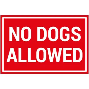 No dogs allowed pictogram - rechthoekig - rood wit - tekst no dogs allowed op rode achtergrond