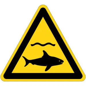 Haaien waarschuwingspictogram - W054 - driehoekig - geel zwart - symbool haai in water