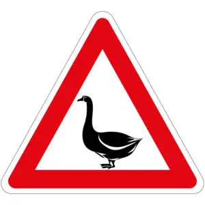 Pas op overstekende ganzen pictogram - rood wit zwart - driehoekig - symbool gans met rode driehoek