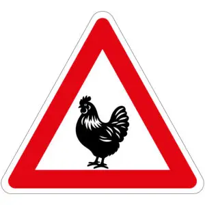 Pas op overstekende kippen pictogram - rood wit zwart - driehoekig - symbool kip met rode driehoek