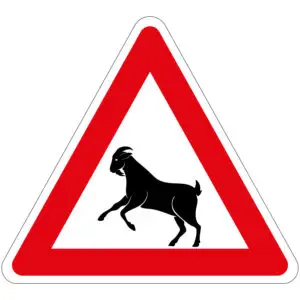 Pas op voor overstekende geiten verkeersbord pictogram - driehoekig - rood wit zwart