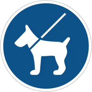 Honden aan de lijn gebodspictogram - blauw wit - rond - symbool hond aan lijn op blauwe achtergrond