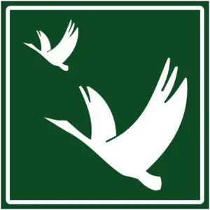 Vogelreservaat natuur pictogram - groen wit - vierkant - symbool vogels